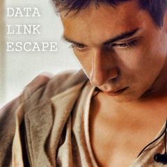 DATA LINK ESCAPE