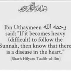 Safeeyah Umm Tameemah