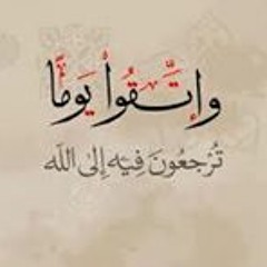 علي فايد
