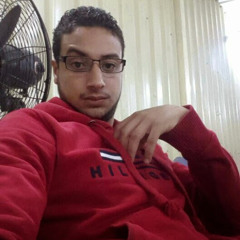Hamada Anwer