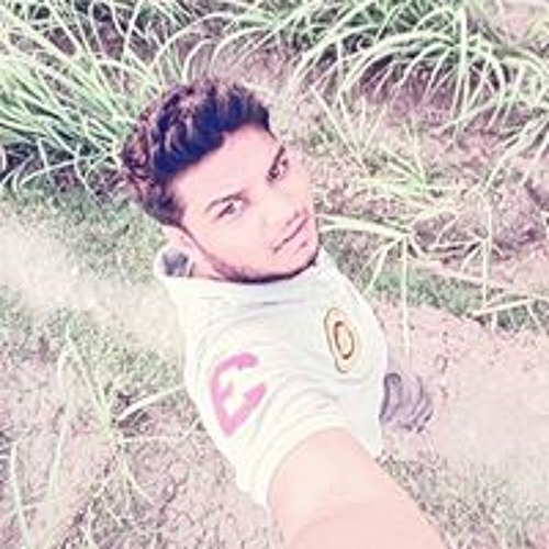 Vignesh S Subramani’s avatar
