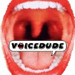 Voicedude