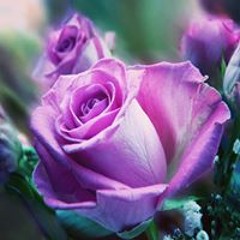 ابوالسباع max