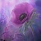 Nahid Youssef