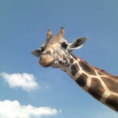 朱色の恋人たち