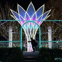Stream 清水翔music Listen To Songs Albums Playlists For Free On Soundcloud