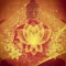 Oz Menashe_user
