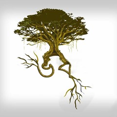 Vob - ভব