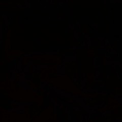 Sen SS