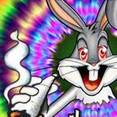 CTBandzCiTyFityBeats