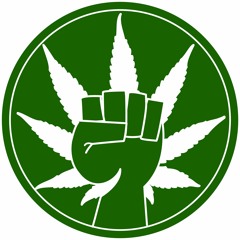 tetrahydrocannabinol