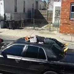 Nimble Williamagination