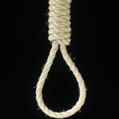 The Noose