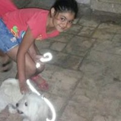 logy Essam