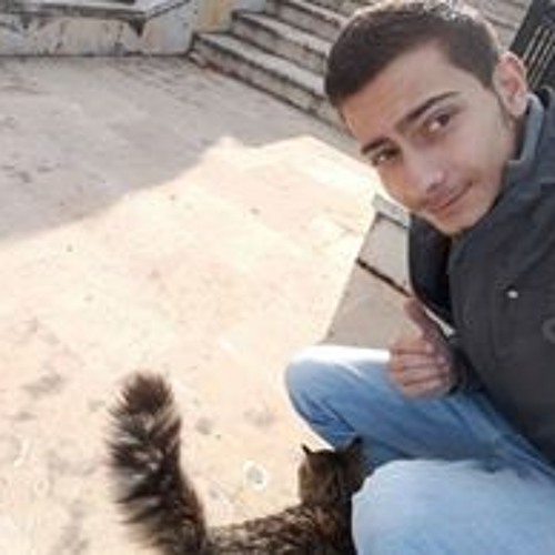 رامي ميشيل سعد’s avatar