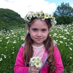 ილია ჭიღლაძე