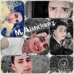 Mahmoud Alshrkawy