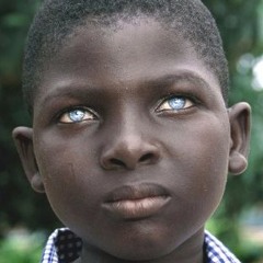 THE MERCURY GEMINI INDIGO