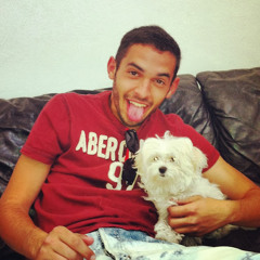 ‫הדר לוי‬‎