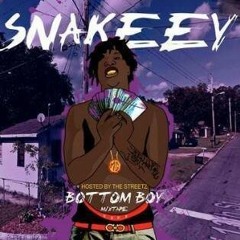 Snakeey