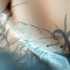 Jona Christopher Sahnwaldt