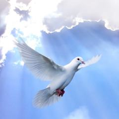 Александр Полубесов