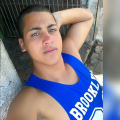 rafael silva
