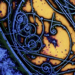 Quantum Chromodynamics