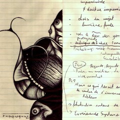 Pierres Réfléchies