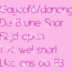Gaycafé/dancing 'De Bruine Snor'