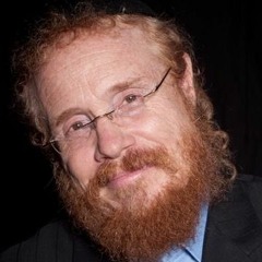 Rabbi David Aaron