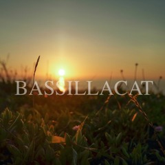Bassillacat