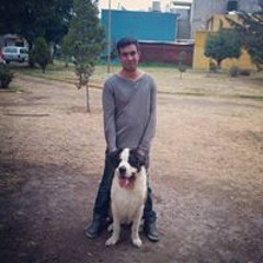 user6880585