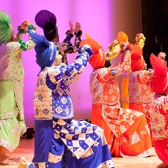 dailybhangra