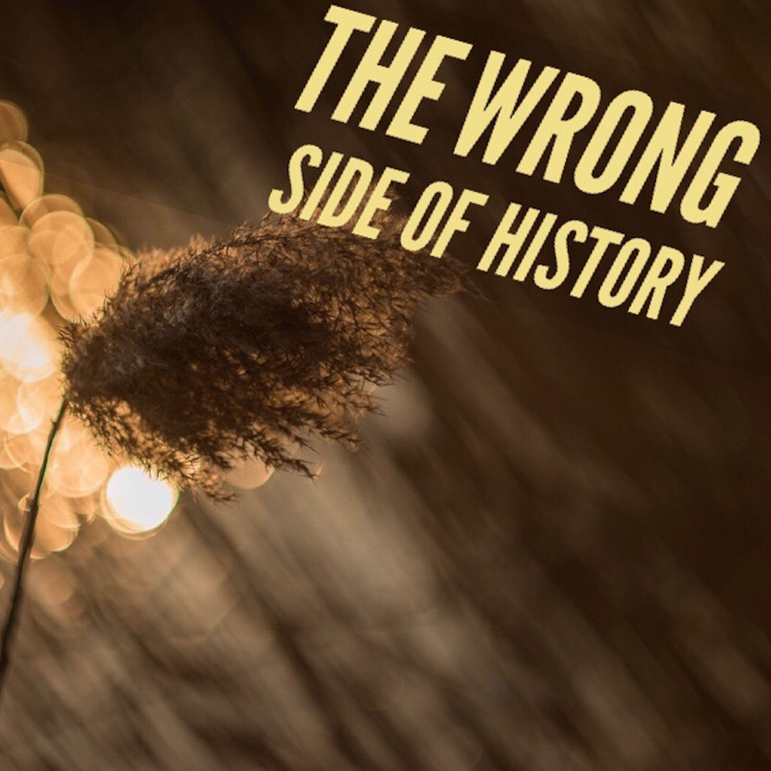 The Wrong Side of History