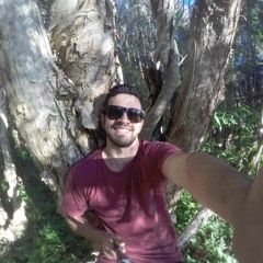 Joel Boukogiannis