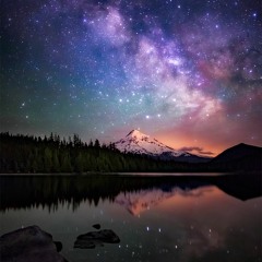 Maxim Van Den Broucke