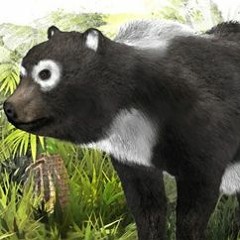 noi