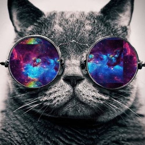 kittycat2K’s avatar