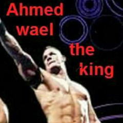 Ahmed Wael