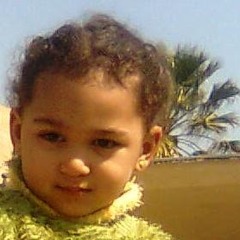 lenin elmasry