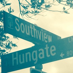 SouthView SGV