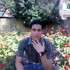 Mahmoud Medhat Mohammed