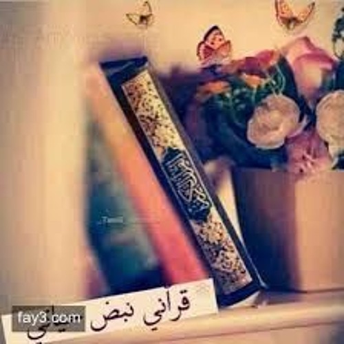 Noor Alfurqan’s avatar