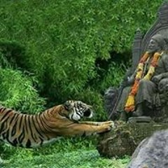 Prem Buyyankar