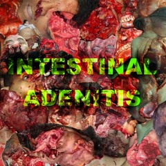 Intestinal Adenitis