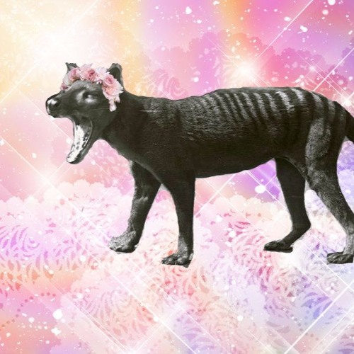 LethargicThylacine’s avatar