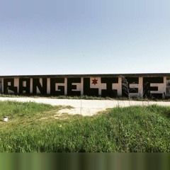 Taylor Street Vipers