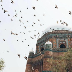 الصابرة المحتسبة