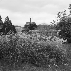 푸른지대 연주하기